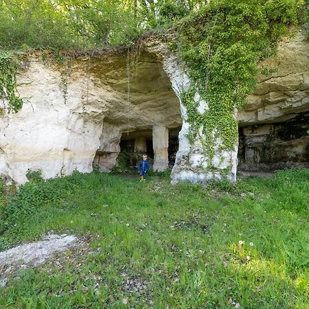 Saint-Bonnet-sur-Gironde Logis De Bois Roche 빌라 외부 사진