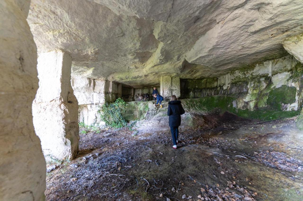Saint-Bonnet-sur-Gironde Logis De Bois Roche 빌라 외부 사진