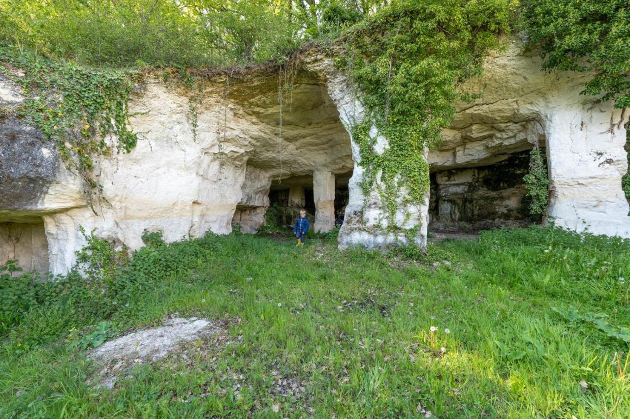 Saint-Bonnet-sur-Gironde Logis De Bois Roche 빌라 외부 사진