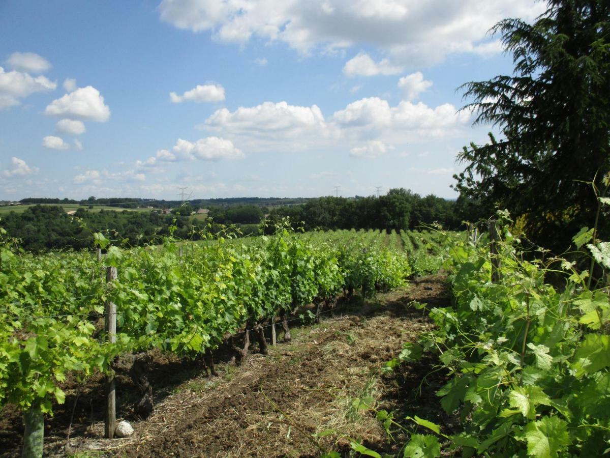 Saint-Bonnet-sur-Gironde Logis De Bois Roche 빌라 외부 사진
