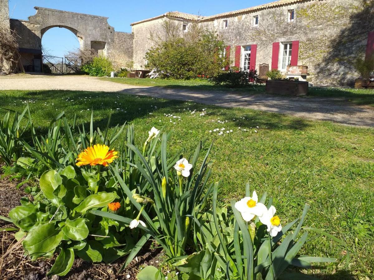 Saint-Bonnet-sur-Gironde Logis De Bois Roche 빌라 외부 사진
