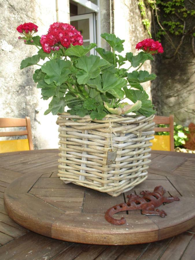 Saint-Bonnet-sur-Gironde Logis De Bois Roche 빌라 외부 사진