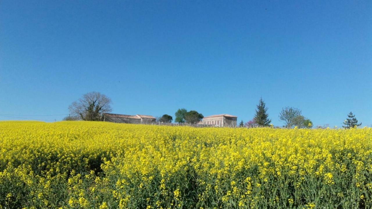 Saint-Bonnet-sur-Gironde Logis De Bois Roche 빌라 외부 사진