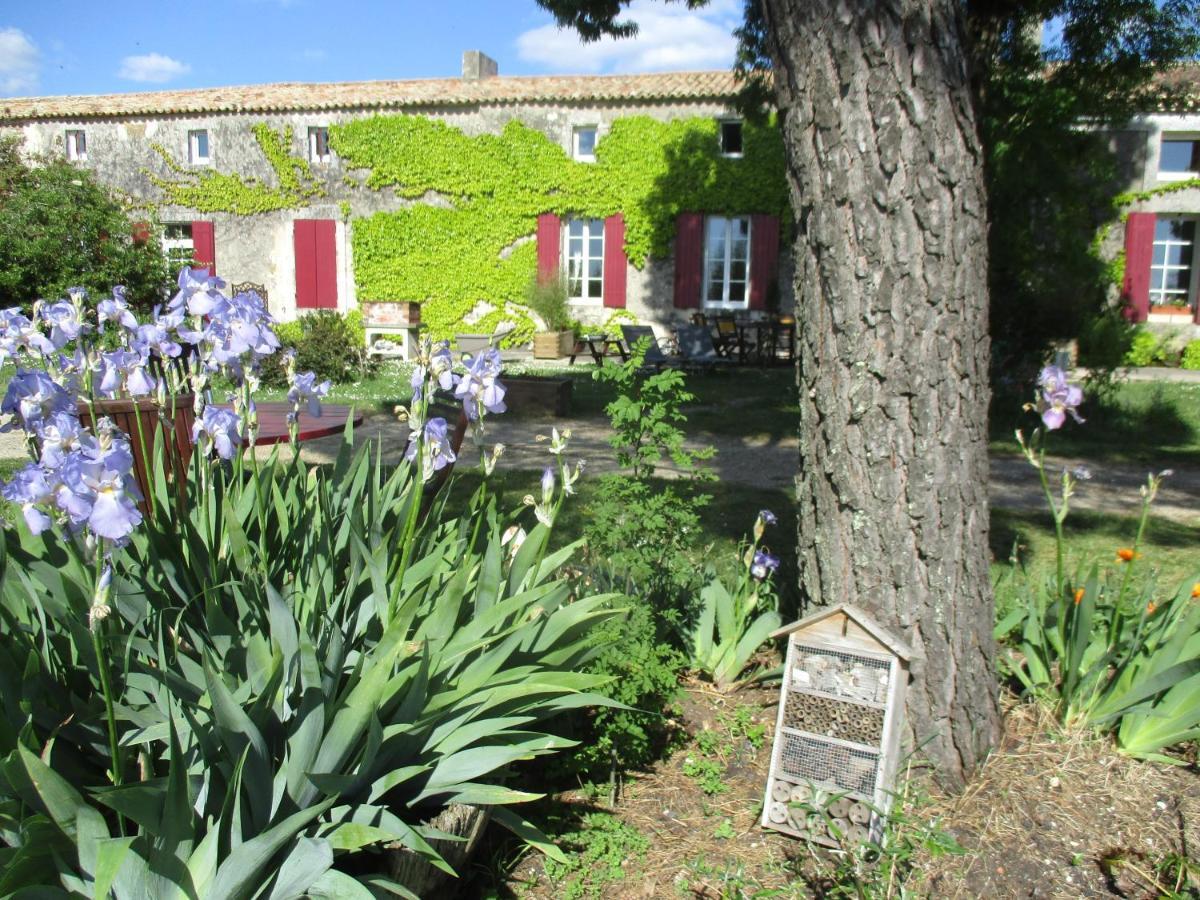 Saint-Bonnet-sur-Gironde Logis De Bois Roche 빌라 외부 사진
